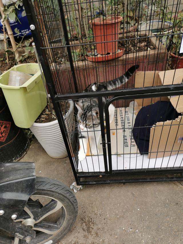 北京三友百货，北京三友百货现在还有吗（东四牌楼东的点滴回忆）