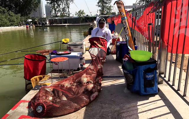 我的鱼塘是什么意思，你的鱼塘啥意思（黑坑特有的“签票”和“退票”）