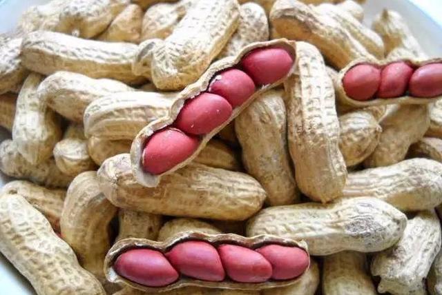 杂粮有哪些品种，粗粮都有什么（中国豆类大全）