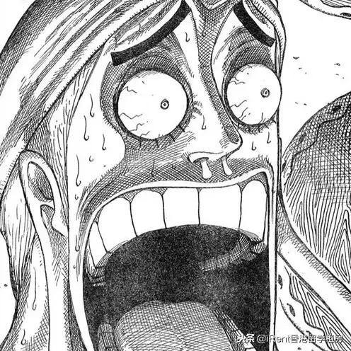 纳尼的意思，日语纳尼的意思（在我身边居然潜伏着这么多日语）