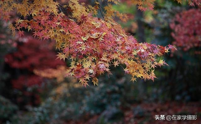 如何选择uv镜，怎么选择uv镜（CPL偏光镜、ND减光镜、UV镜如何选）