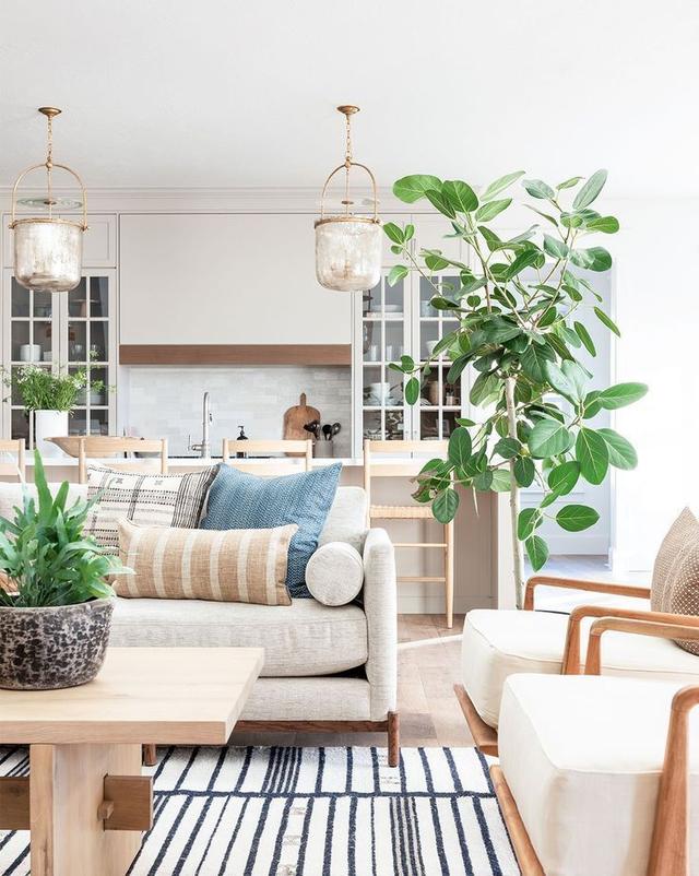 什么叫ins风格，ins是什么（Ins上最常见的5种室内设计风格）