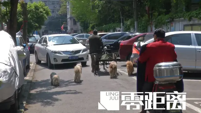 罗根肉制作方法，赤峰罗根肉的做法大全（杀害小狗罗根的“凶手”）