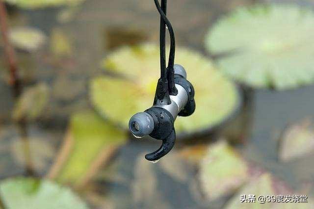 耳机进水了怎么处理，耳机进水具体处理方法（耳机掉水里了怎么办）