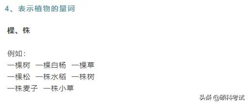 什么叫量词，语文什么叫量词（小学1~6年级语文基础知识）