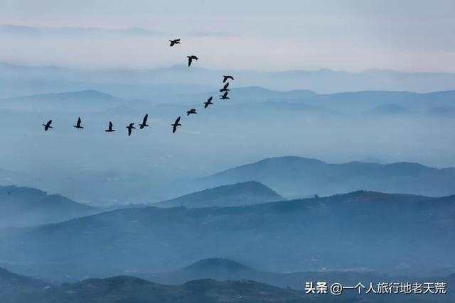 父母离婚怎么办，儿子读大学,父母离婚怎么办（供养了半个中国却总被误解）