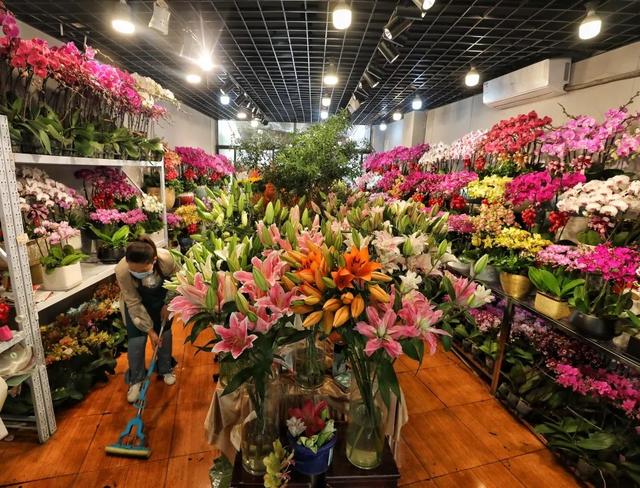 上海哪里有比较好的花鸟市场，上海哪里有比较好的花鸟市场地址（上海市中心最大花鸟市场为何兴旺了20年）