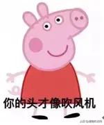 广而告之什么意思，广而告之的意思（2018十大语文差错发布）