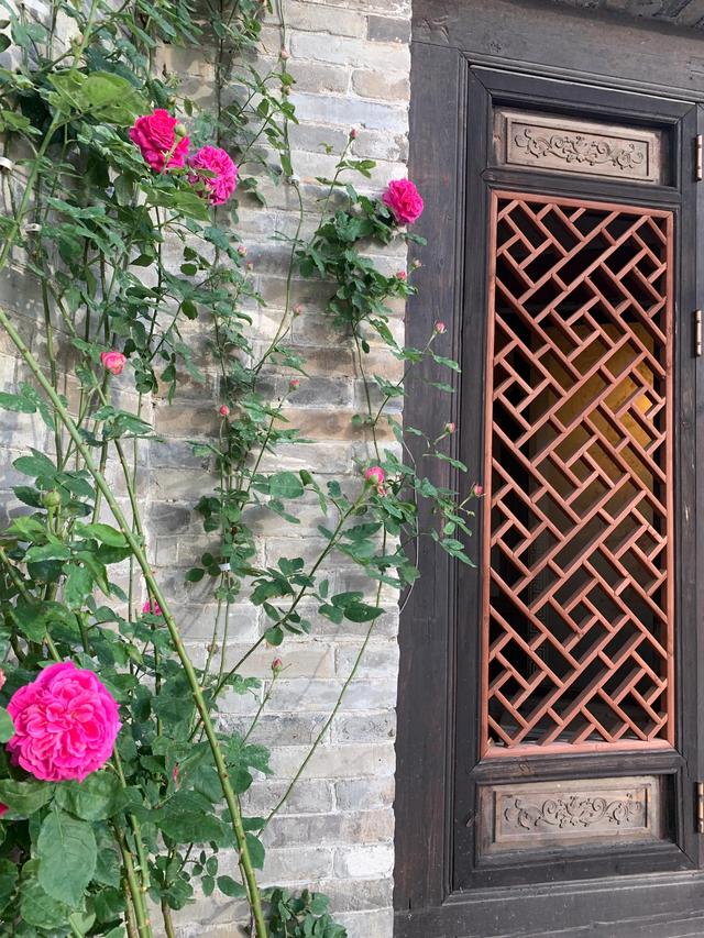 独匠心打一成语疯狂猜成语，猜谜有意打一成语（四个字组成一个字“对联”）