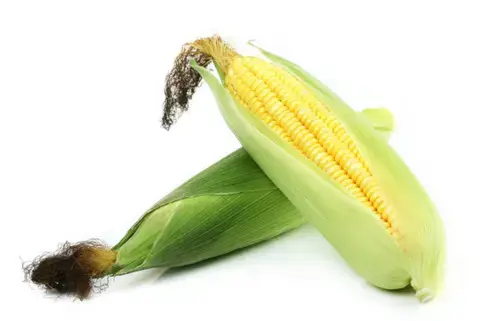 电饭煲煮粥怎么样才不会溢出来，电饭锅煮饭防溢小妙招（教大家泡八宝米熬粥防溢电饭煲煮饭防外溢快速煮粥煮鲜玉米香甜）