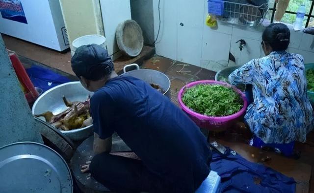 猫肉的功效与作用，猫肉的功效与作用胡小翠（这些地方猫的命运比狗还惨）