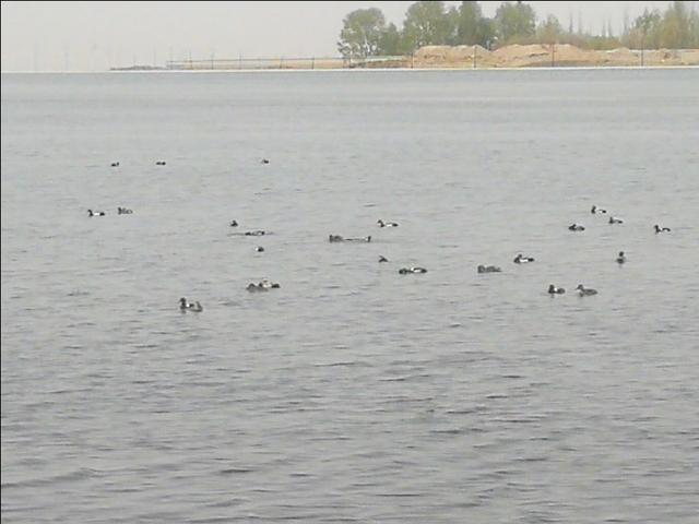 格尔木市海拔多少米，格尔木海拔高度是多少米（格尔木翻天覆地的变化）