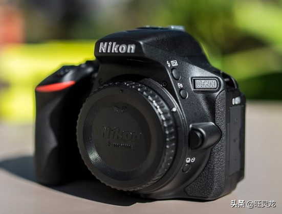 单反入门买什么镜头，新手用单反推荐什么镜头（有哪些单反相机镜头推荐）