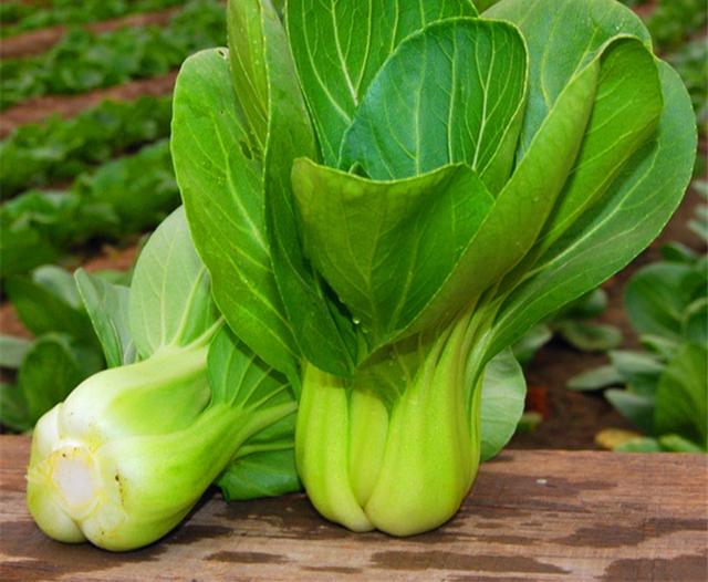 烧烤蔬菜有哪些，50款烧烤素菜菜单（7种“大叶菜”）