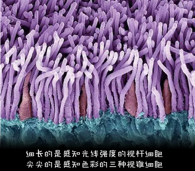 悖论是什么意思，祖父悖论是什么意思（如何解释才能不留BUG）