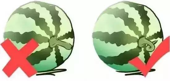 水果寒性热性一览表,水果寒性热性一览表图(最全水果手册,赶紧收藏~) 水果寒性热性一览表,水果寒性热性一览表图(最全水果手册,赶紧收藏~)