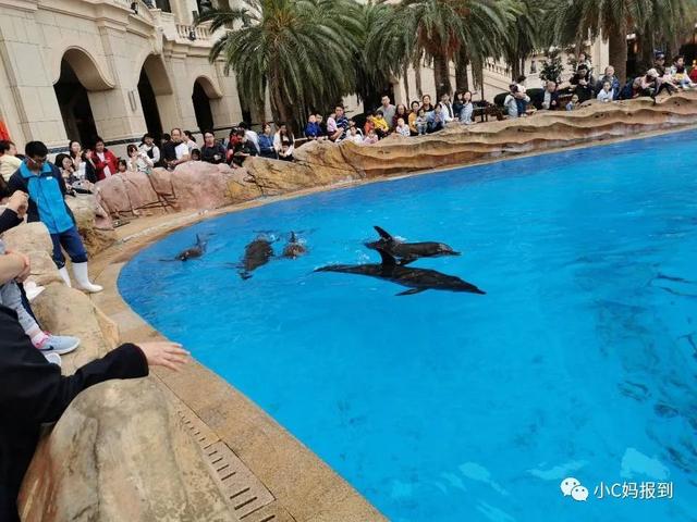 珠海长隆游玩攻略，珠海长隆游玩攻略图（带娃去珠海长隆该怎么玩）