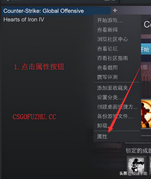 steam启动项，如何在steam中设置启动项（csgo国服启动项在哪设置）
