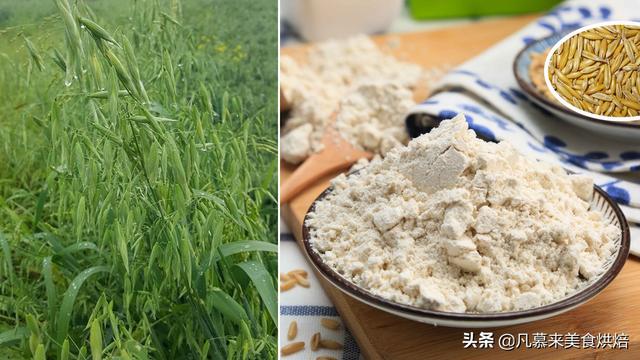 莜面是什么面，莜面是什么面是粗粮吗（原来莜面还有这10几种吃法）