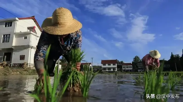 汉中板凳龙，板凳龙的寓意（一部关于汉中勉县的“大片”将在央视播出）
