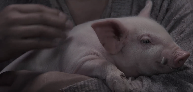 西游降魔篇2深度解析，你还觉得星爷只是拍了部喜剧吗