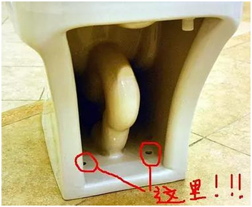 厕所的蛆虫老往上爬怎么解决，女孩子下面长蛆是什么病（让您一分钟根绝卫生间里的小黑虫）
