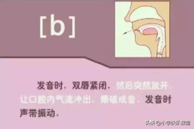 音标读音表发音教学，音素表怎么写（48个国际英语音标发音表及口型）