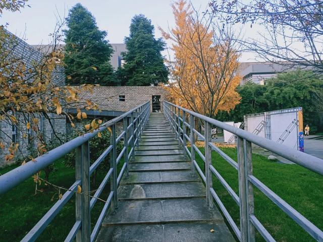 成都东软信息技术学院,成都东软学院是一本还是二本(这里是成都东软学院) 成都东软信息技术学院,成都东软学院是一本还是二本(这里是成都东软学院)