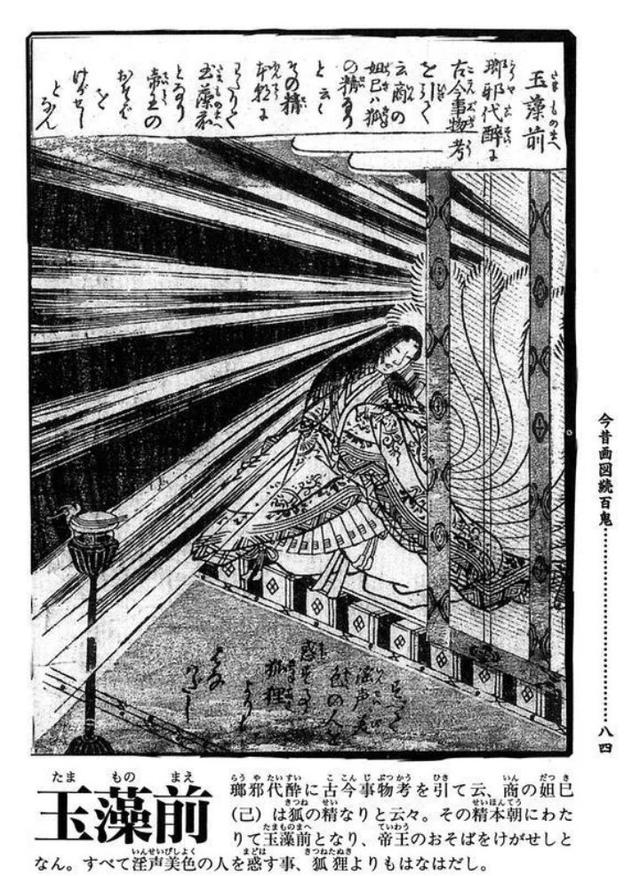 狐狸有什么特点，狐狸有什么特点,你想对它说狮子和狐狸（狐狸精为啥不能是男的）