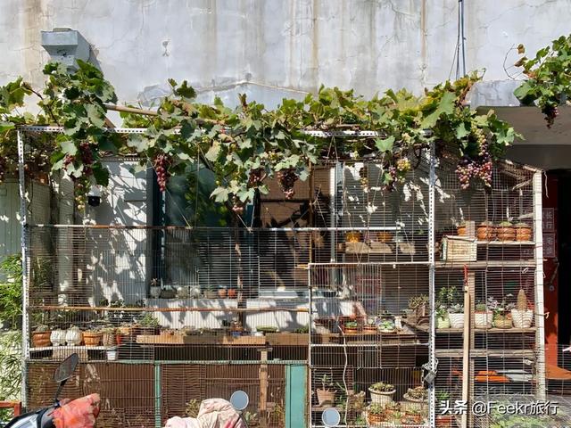 大栅栏有什么好玩的，大栅栏有什么好吃好玩的（来这些藏身胡同里的好去处一探究竟）