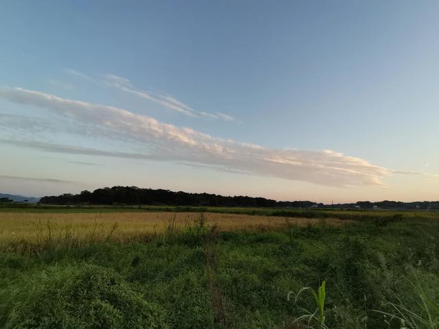 **毛雨是什么样子的，毛毛雨是什么样子的（湿身的毛毛雨）