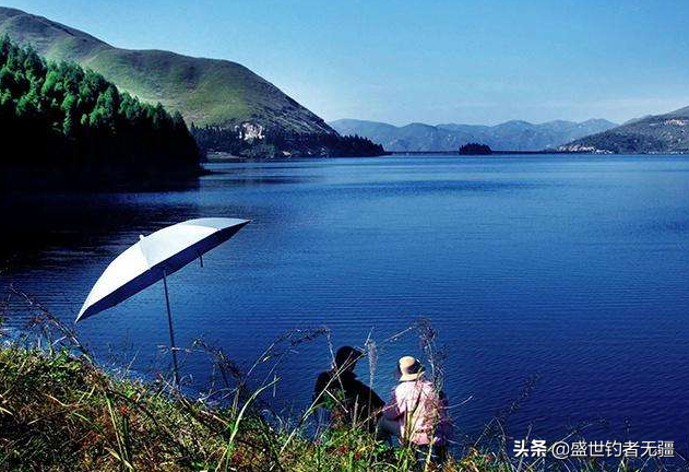 高清台钓调漂教学：掌握四大技巧，轻松提升钓鱼精准度与实战效果
