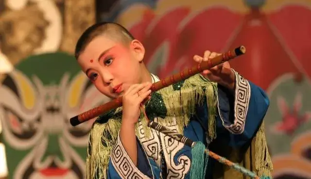 乐器的种类有哪些，乐器有哪些（常见乐器优劣分析）