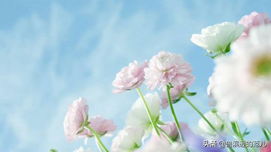 踌躇满志是什么意思，踌躇满志是什么意思 百度网盘（何谓间歇性踌躇满志）