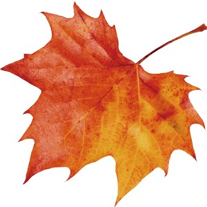 秋天的四字词语有哪些，秋天的词语有哪些（８个关于“秋天”的成语讲给孩子听）