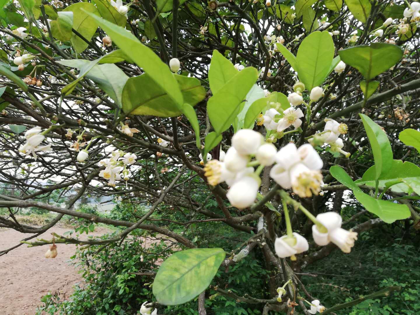 门对门风水有什么说法（大门对大门，一门兴盛一门衰）