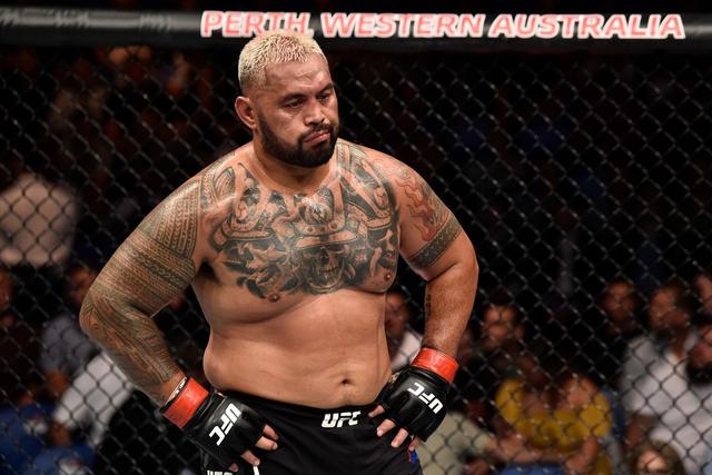 中国打进ufc有几个人，进入UFC的中国选手有谁（UFC全51位现役重量级MMA选手）