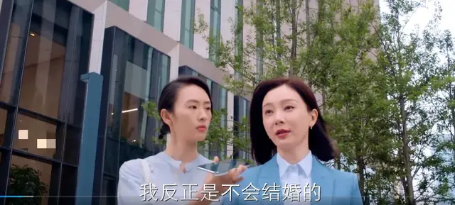 谁说我结不了婚田蕾简介，谁说我结不了婚田蕾结局（《谁说我结不了婚》剧名太劝退）