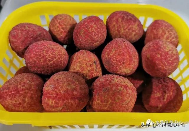 盘点15种常见荔枝，荔枝品种哪个最贵（桂味、糯米糍、新球蜜荔、无核荔枝等）