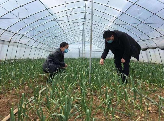 马粤慧老公黄健简历,马粤慧(绷紧为乡亲们服务的这根弦) 马粤慧老公黄健简历,马粤慧(绷紧为乡亲们服务的这根弦)