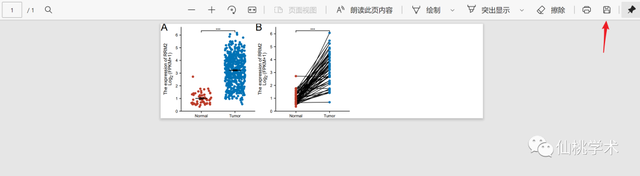 excel左右拉条不见了，excel的左右滚动条不见了（单基因泛癌免疫分析）