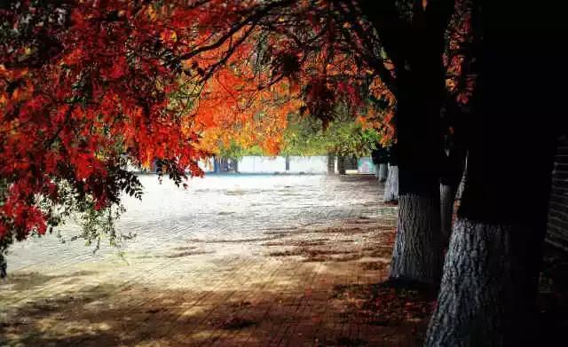 辽东学院宿舍条件怎么样，辽东学院宿舍几人间（辽宁省普通高等院校）
