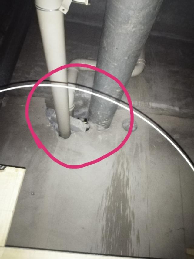 吊顶里面有老鼠怎么除掉，老鼠在吊顶里怎么去除（家庭灭鼠最安全方法一一粘鼠板捕捉）