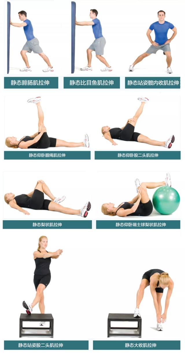 拉伸动作图解名称，拉伸动作简图（拉伸动作图解大放送）