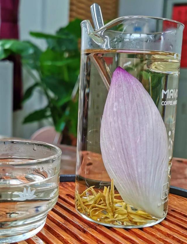 不锈钢盆可以放烤箱吗，烤箱里可以放不锈钢盆吗（10种花最养人）