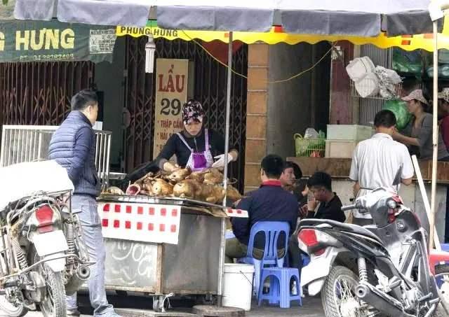 猫肉的功效与作用，猫肉的功效与作用胡小翠（这些地方猫的命运比狗还惨）