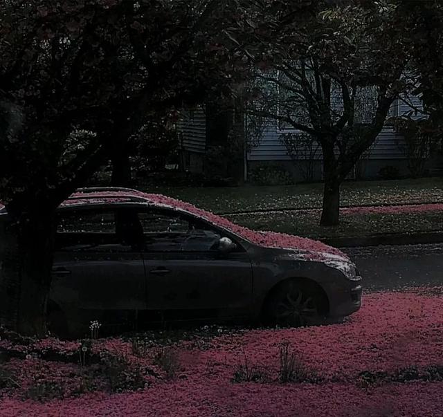 现实的让人心酸想哭的句子，现实的让人心酸想哭的句子短句（文案，特别现实的心酸沉默句子）