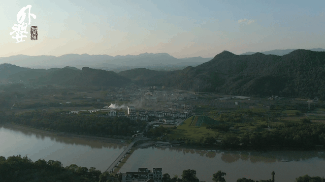 吃虾虎有什么好处，虾虎的营养价值和功效（鲁迅小说里提到的\