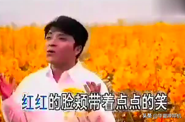 中国现代四大美女，现代四大美人排名（小芳、九妹、阿莲、小薇）