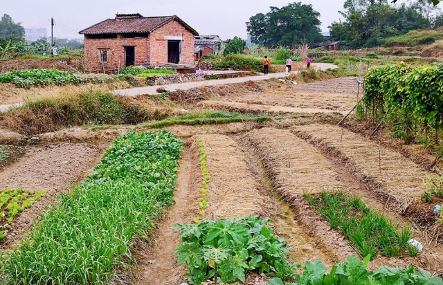 成语繁星满天的意思，成语繁星满天的意思是（俗话说：“不怕冬日三连阴）